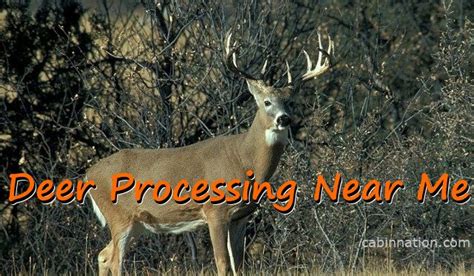 Deer processor near me - Wacky Cuts. (989) 318-9165. Twining. Baraga County. Rich Altz. Superior Meat Processing. (906) 353-6506. Pelkie. Showing 1 to 10 of 225 entries.